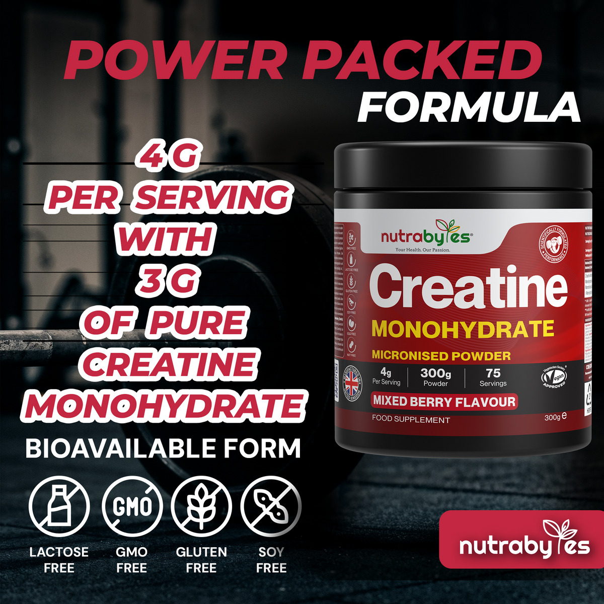 Creatine Monohydrate Powder | Micronised 200 Mesh | 300g | Mixed Berry Flavour | 4G Per Serving | Vegan Certified