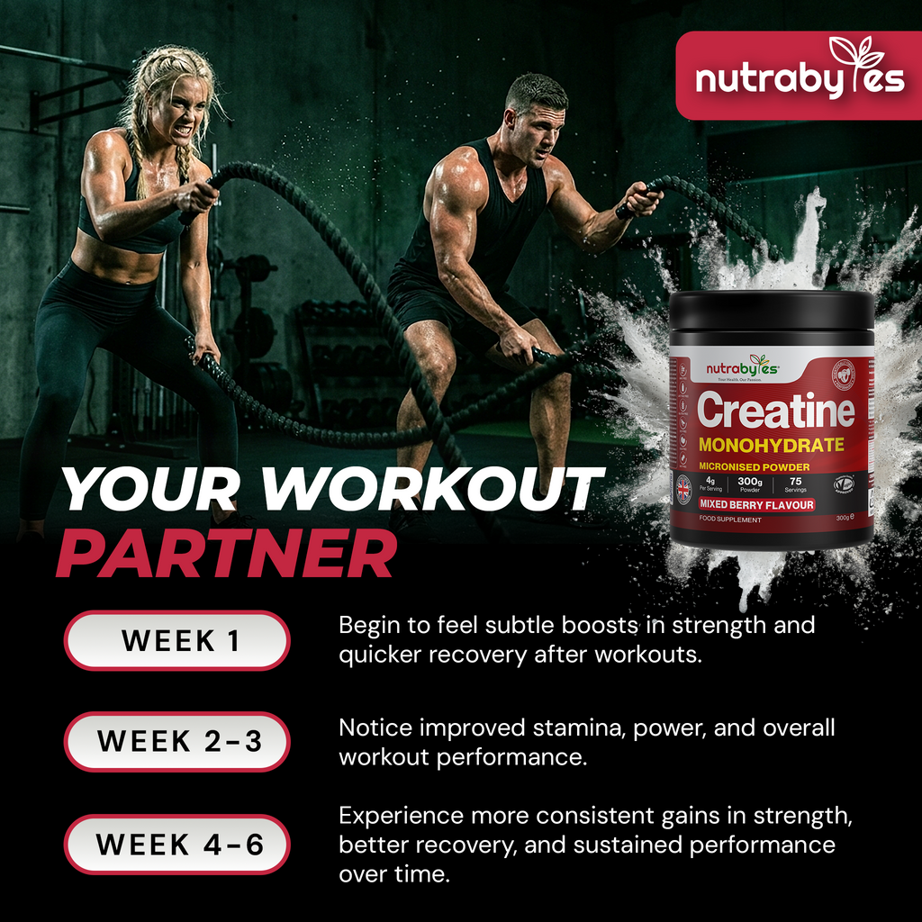 Creatine Monohydrate Powder | Micronised 200 Mesh | 300g | Mixed Berry Flavour | 4G Per Serving | Vegan Certified