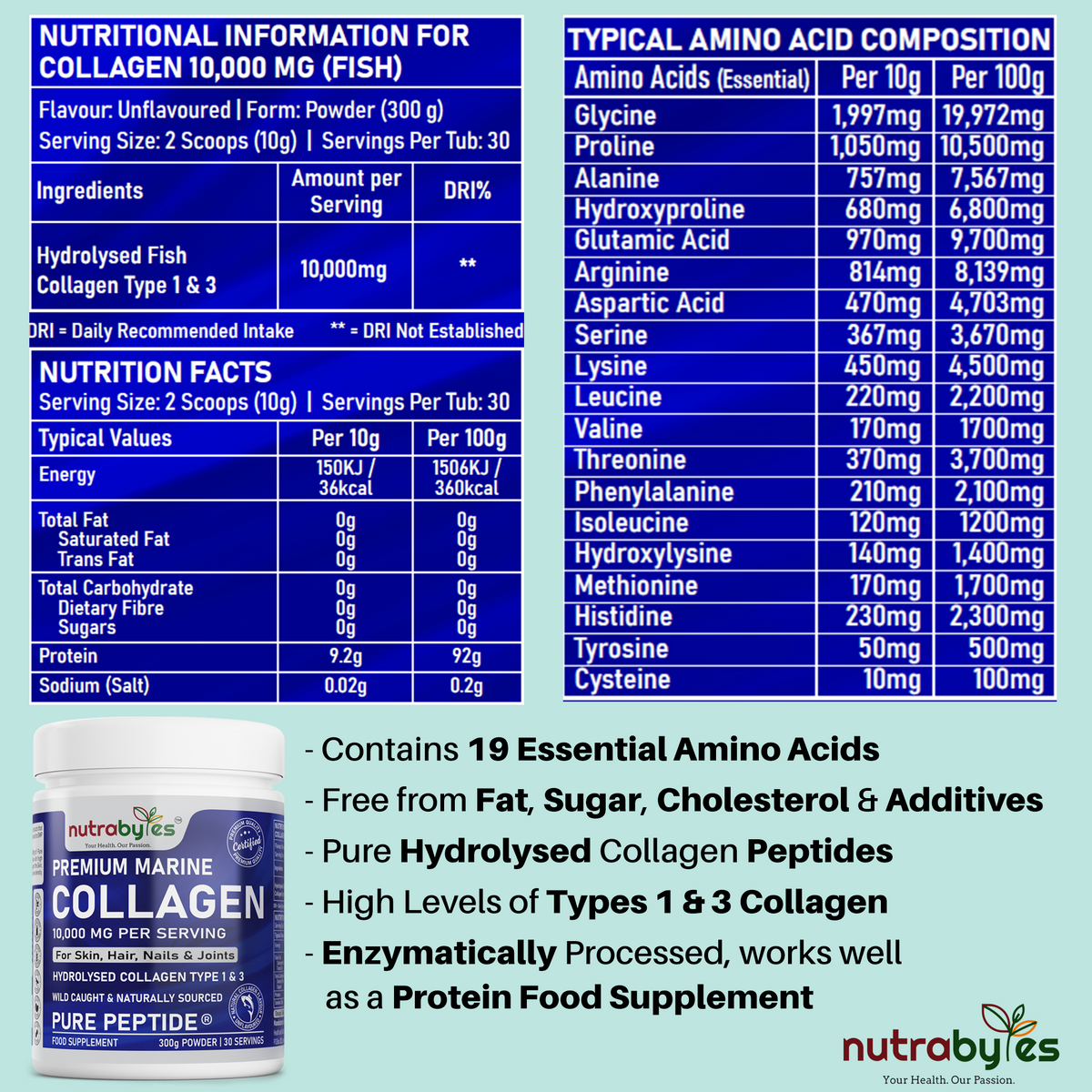 Marine Collagen Powder 10000mg | Type 1 & 3 Unflavoured | Wild Caught Fish