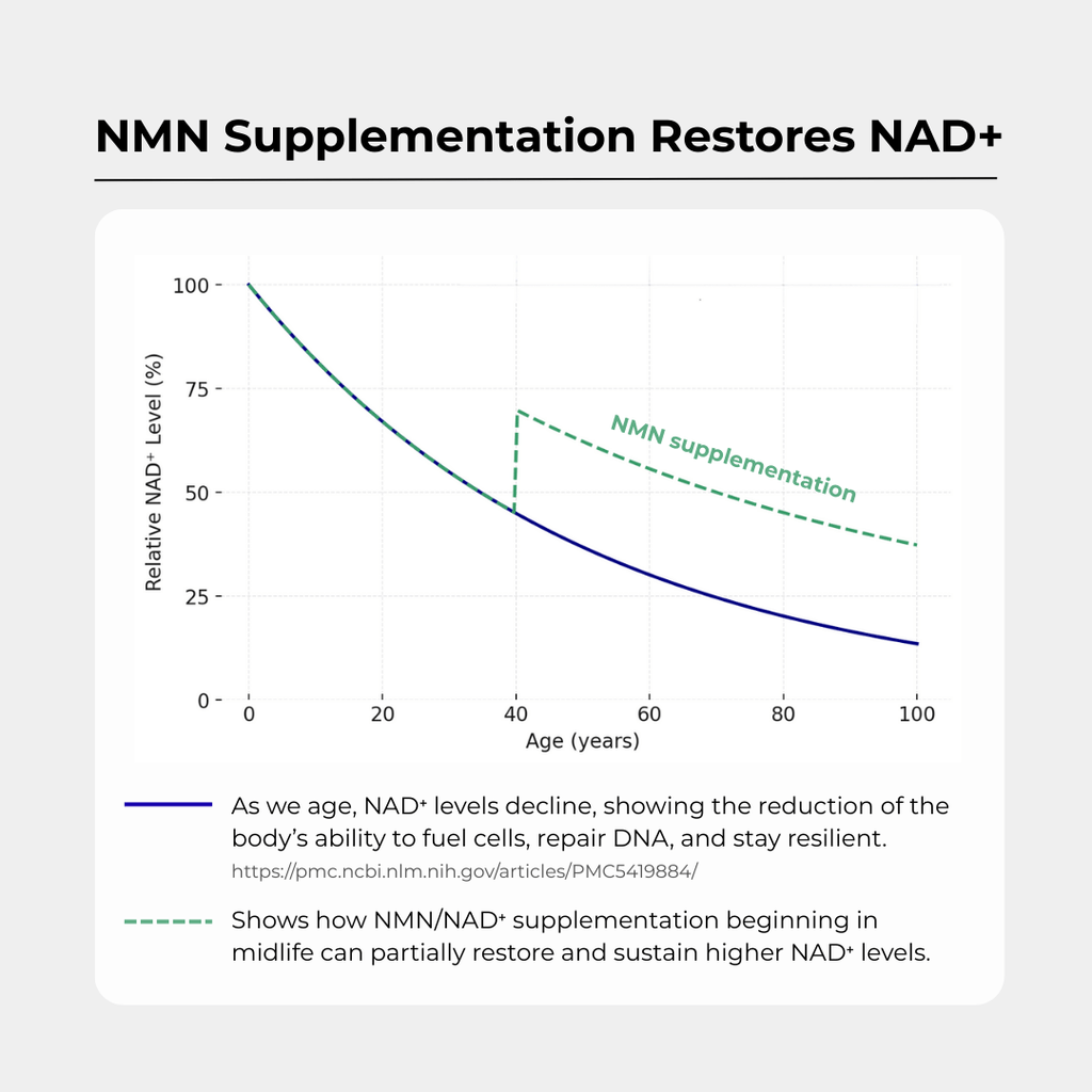Daily NMN Longevity Supplement